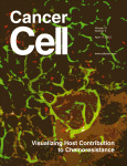 cancer_cell_21_4